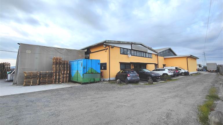 Warehouse for Sale: Space and Comfort for Your Bus