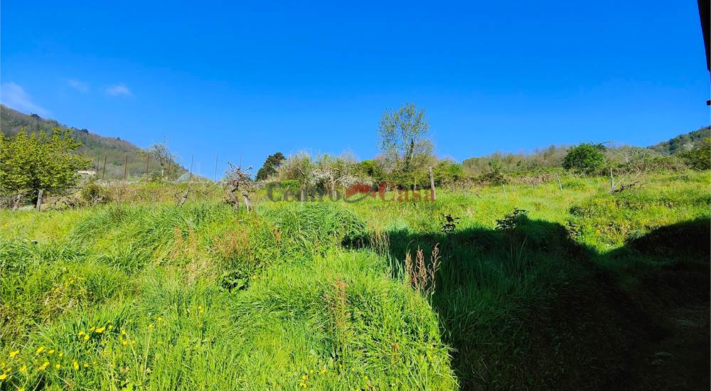 Terreno di proprietà
