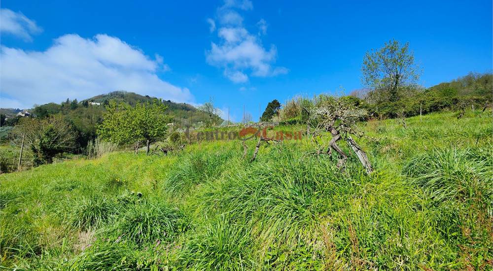 Terreno di proprietà