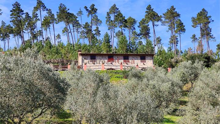 Colline di Buti (PI) - Rustico di charme con 33 Ettari di terra e Piscina